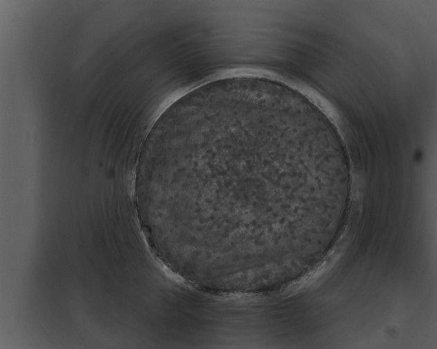 X0000097950953200804011631