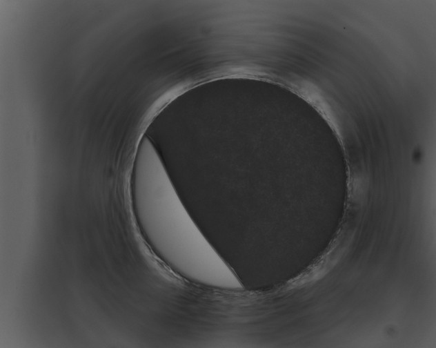 X0000097950954200804011631