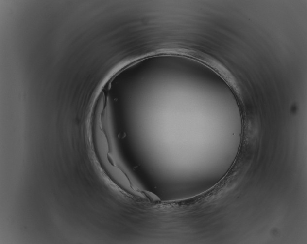 X0000097950955200804011631