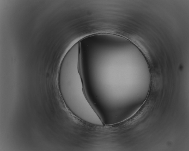 X0000097950956200804011631