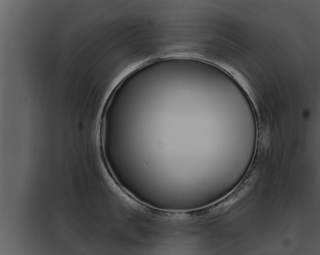 X0000097950957200804011631