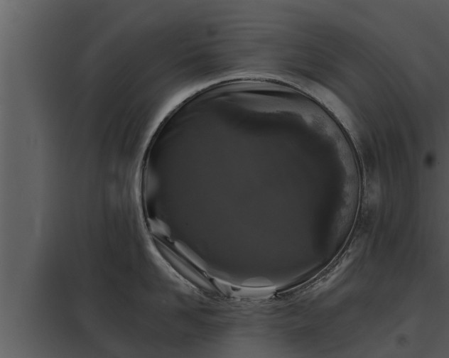 X0000097950958200804011631