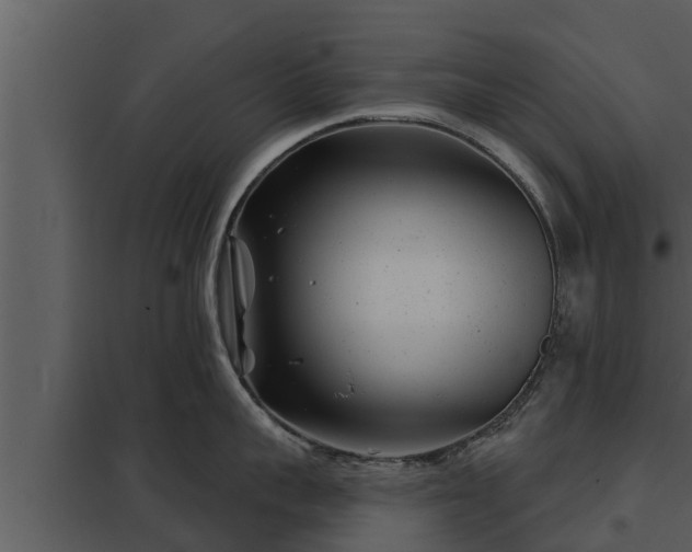 X0000097950959200804011631