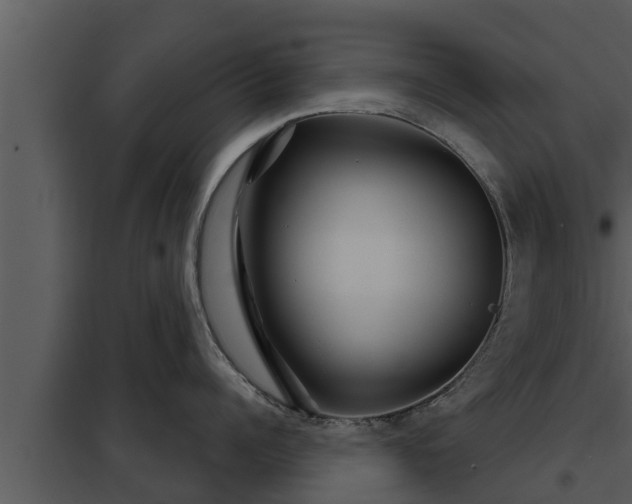 X0000097950960200804011631