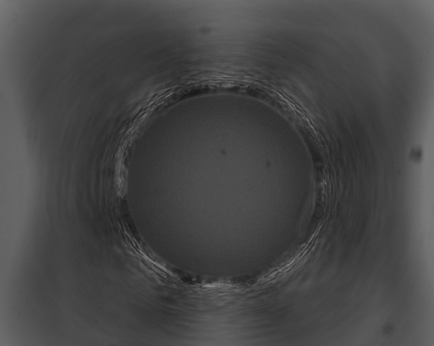 X0000097950961200804011631