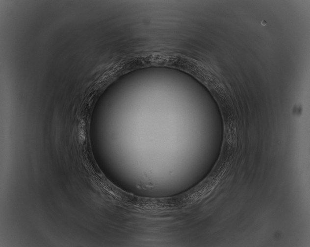 X0000097950962200804011631