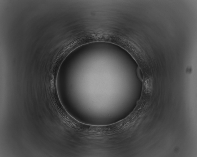 X0000097950963200804011631