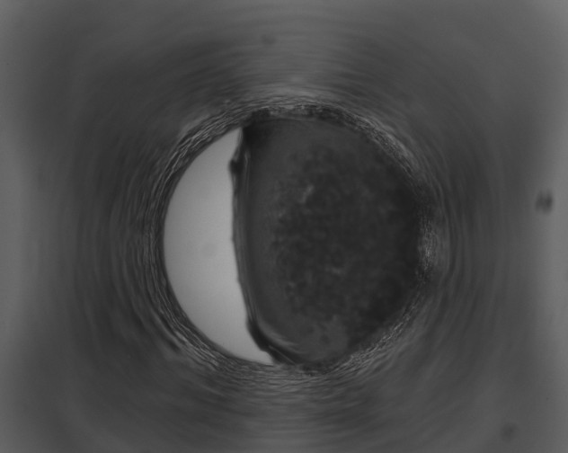 X0000097950964200804011631