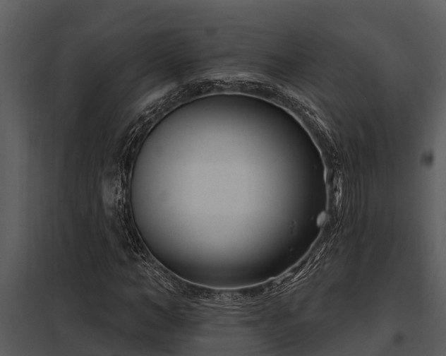 X0000097950966200804011631