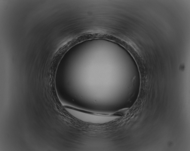 X0000097950967200804011631