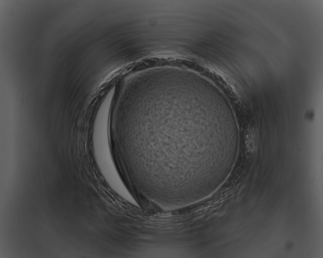 X0000097950968200804011631