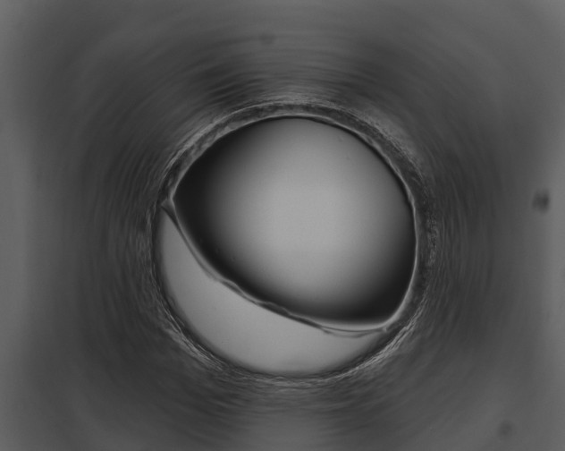 X0000097950969200804011631