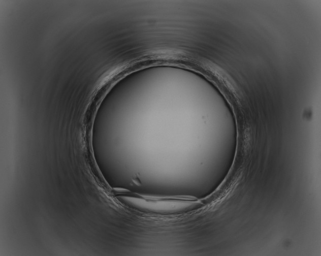 X0000097950970200804011631
