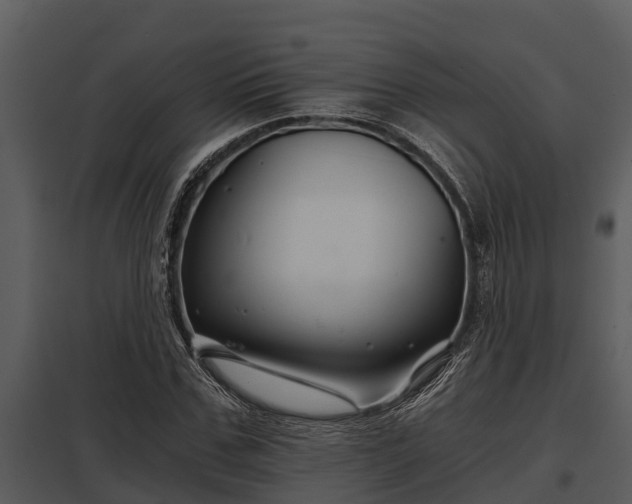 X0000097950971200804011631