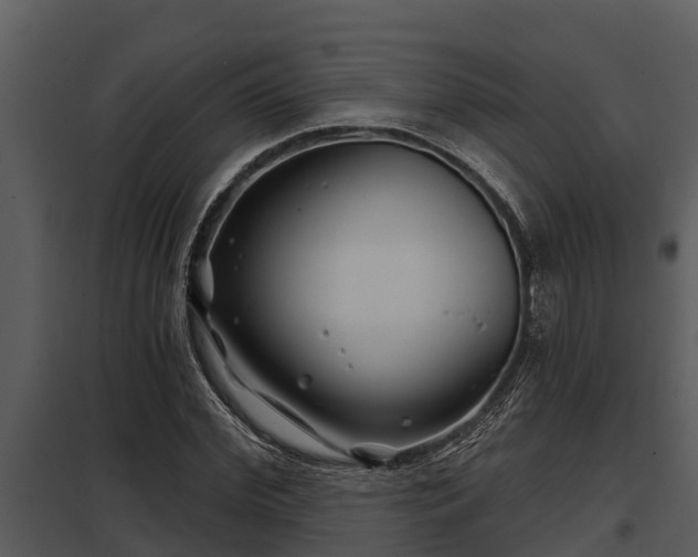X0000097950972200804011631