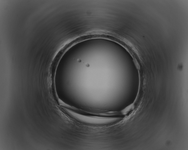 X0000097950973200804011631
