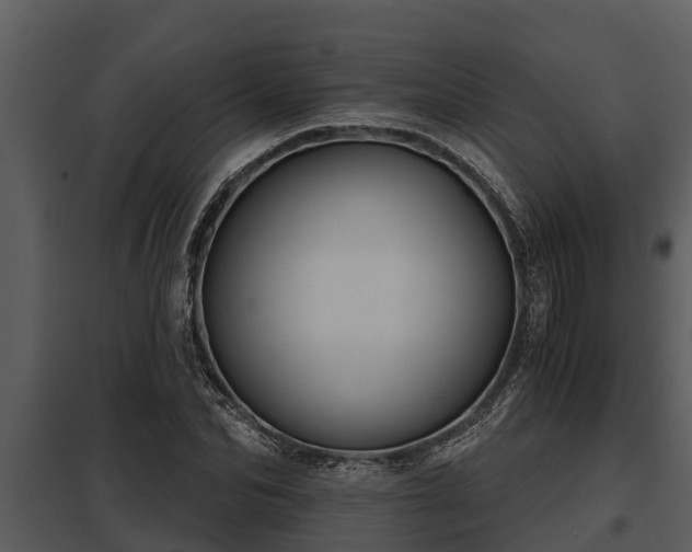 X0000097950974200804011631