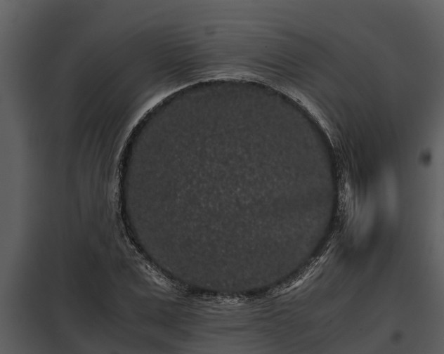 X0000097950975200804011631