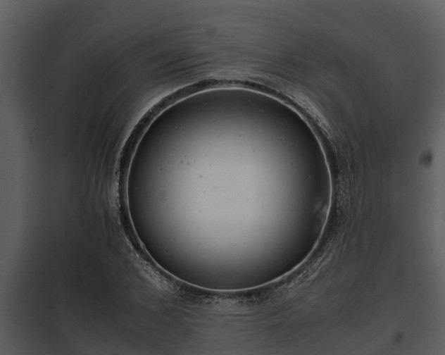 X0000097950976200804011631