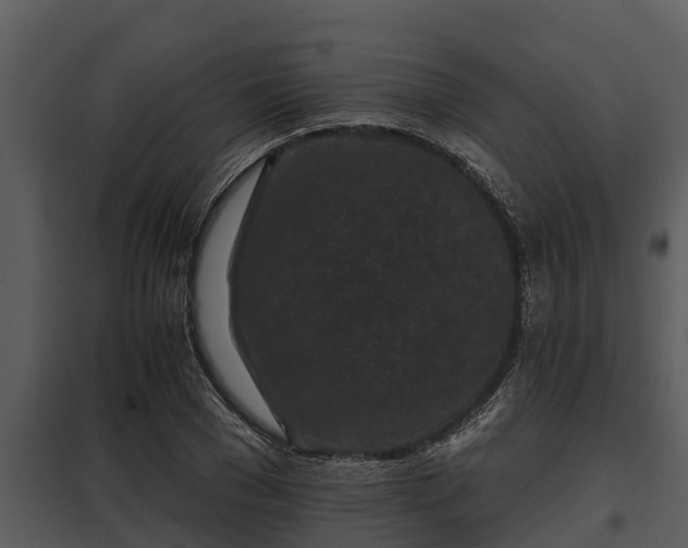 X0000097950977200804011631