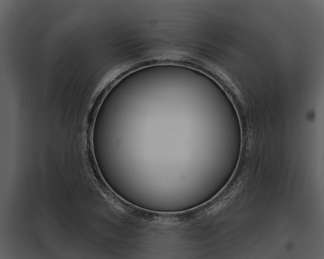 X0000097950978200804011631