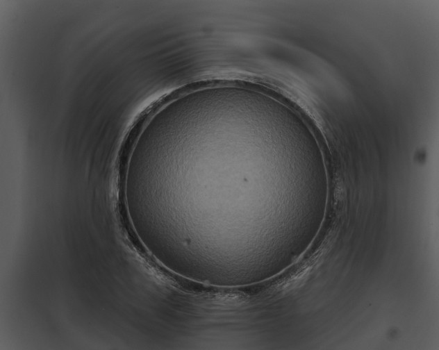 X0000097950979200804011631