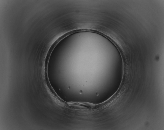 X0000097950980200804011631