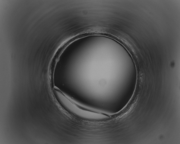 X0000097950981200804011631