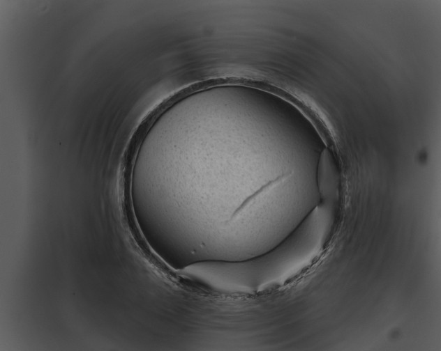 X0000097950983200804011630