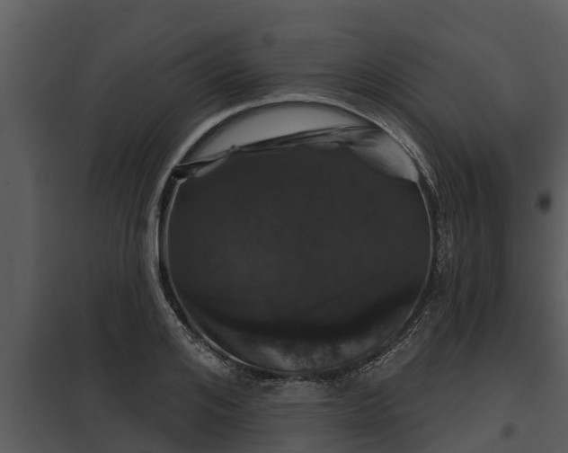 X0000097950984200804011630