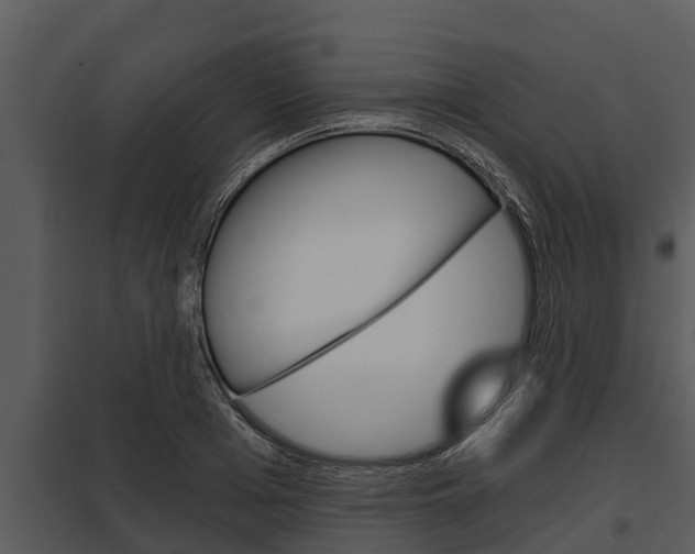 X0000097950985200804011630
