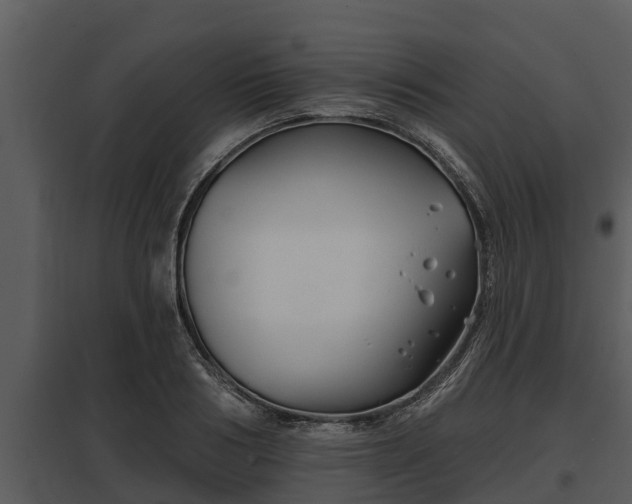 X0000097950986200804011630