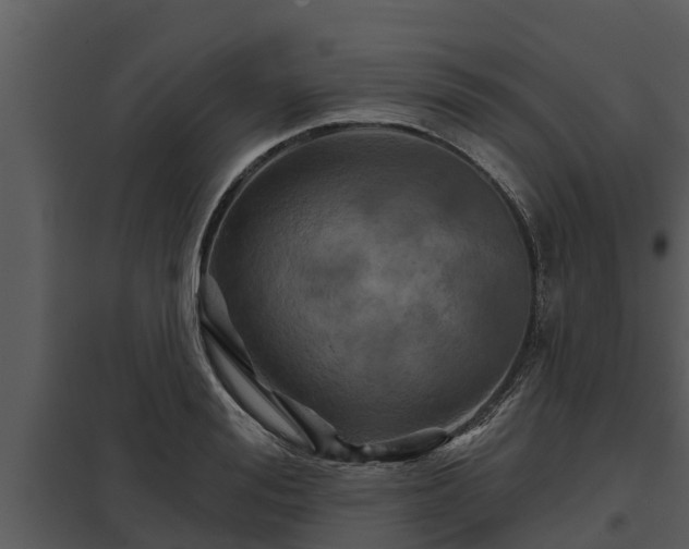 X0000097950988200804011630