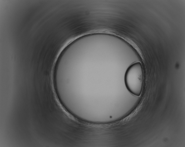 X0000097950989200804011630