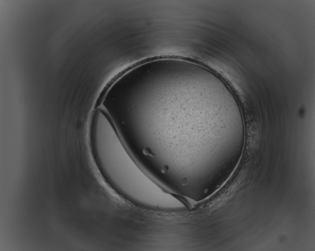 X0000097950991200804011630