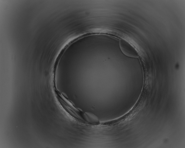 X0000097950992200804011630