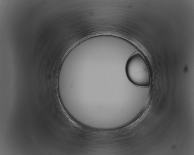 X0000097950993200804011630