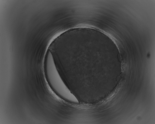 X0000097950995200804011630