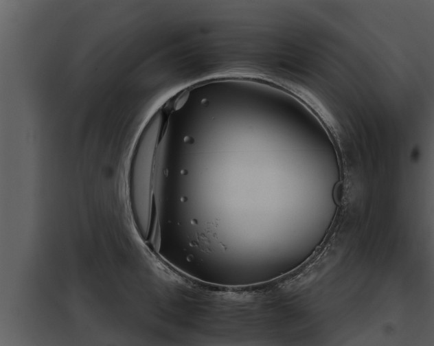 X0000097950996200804011630