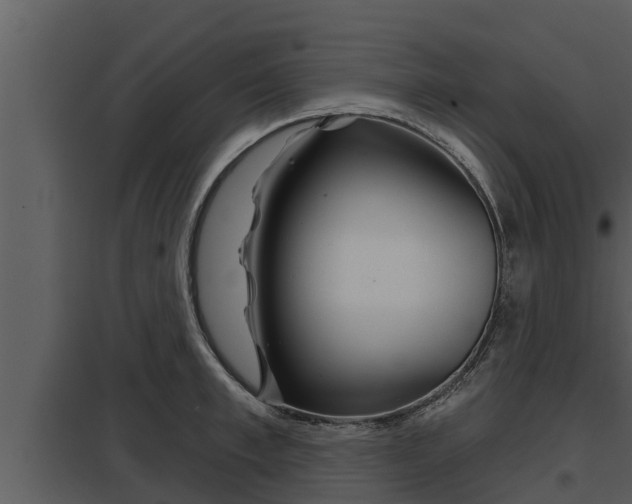 X0000097950997200804011630