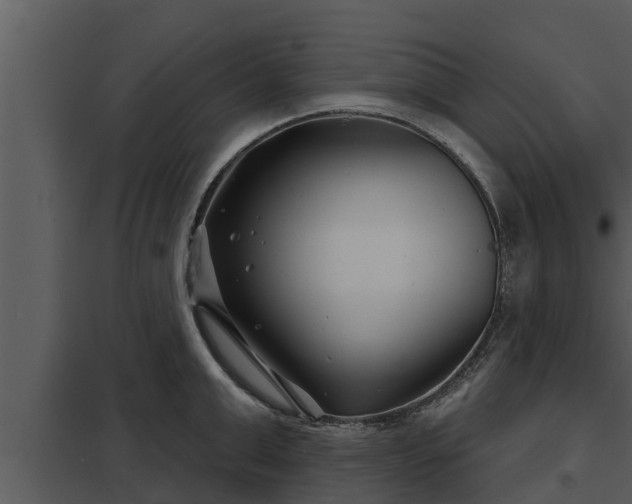X0000097950999200804011630