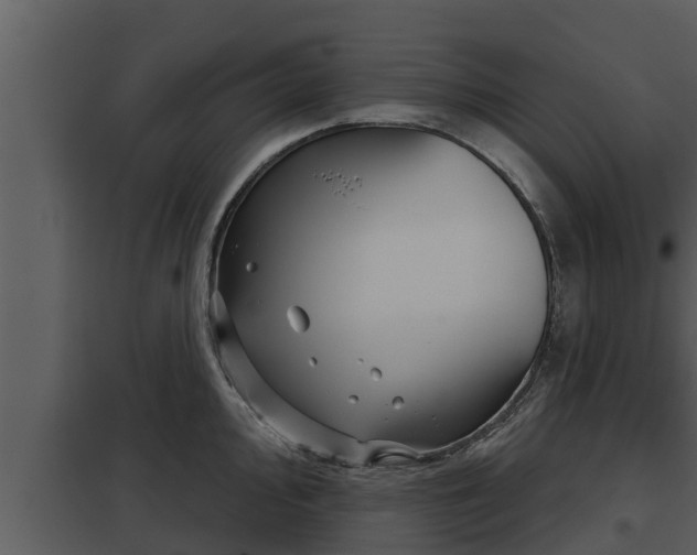 X0000097951000200804011630