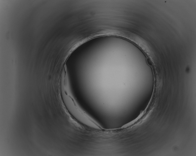 X0000097951001200804011630