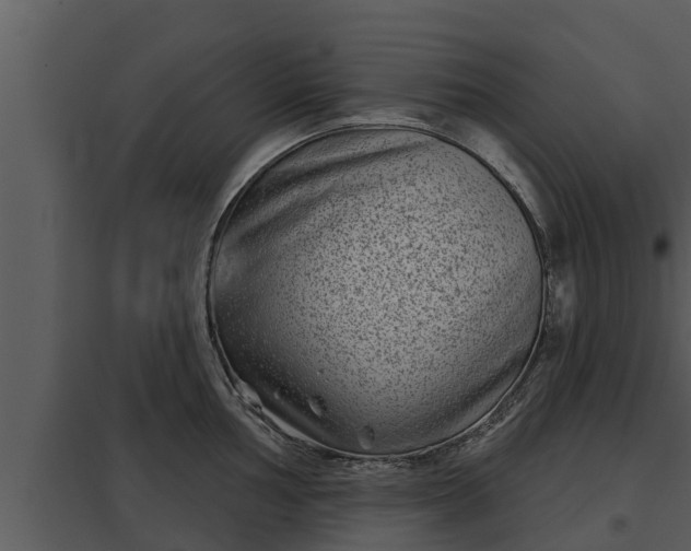 X0000097951002200804011630