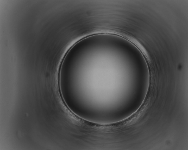 X0000097951004200804011630
