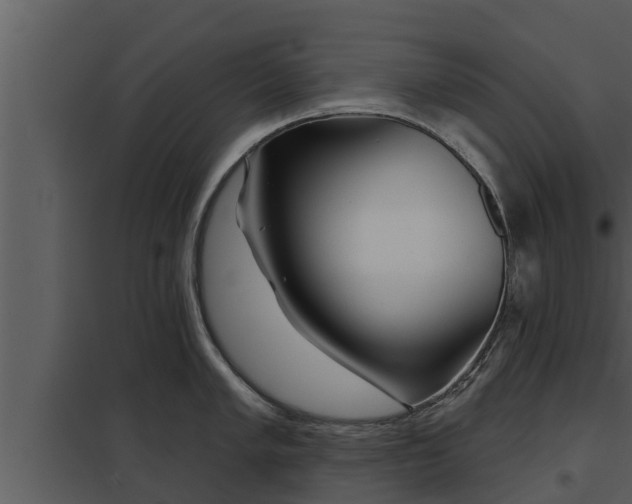 X0000097951005200804011630