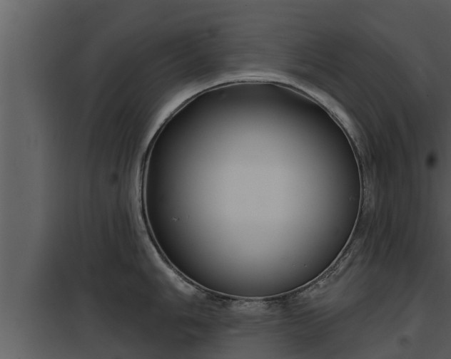 X0000097951006200804011630