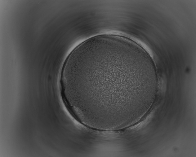 X0000097951007200804011630