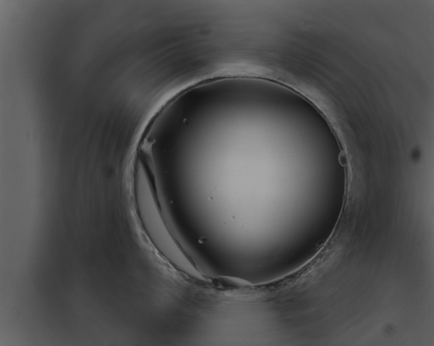X0000097951008200804011630