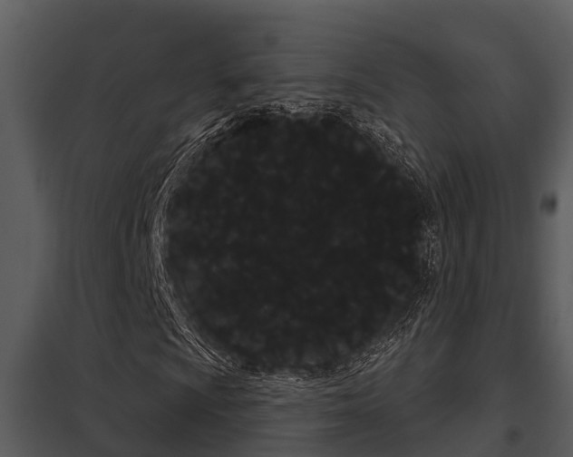 X0000097951009200804011629